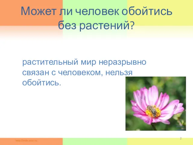 Может ли человек обойтись без растений? Гипотеза: растительный мир неразрывно связан с человеком, нельзя обойтись.