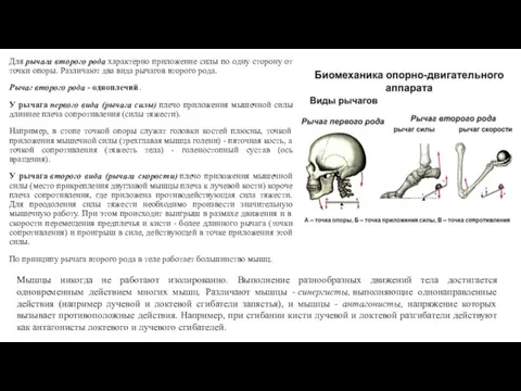 Для рычага второго рода характерно приложение силы по одну сторону