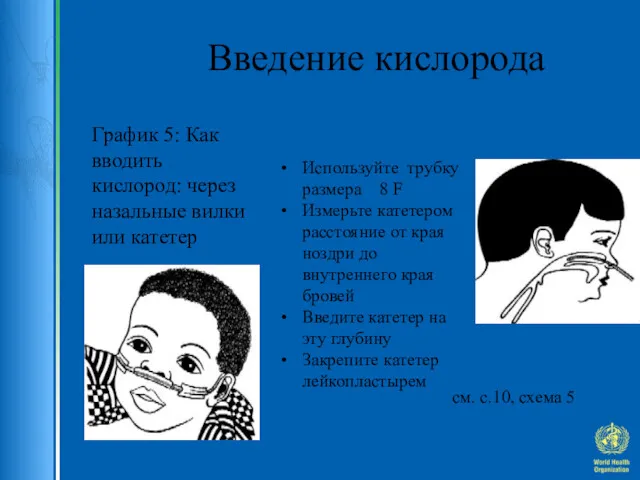 Введение кислорода График 5: Как вводить кислород: через назальные вилки или катетер см. с.10, схема 5