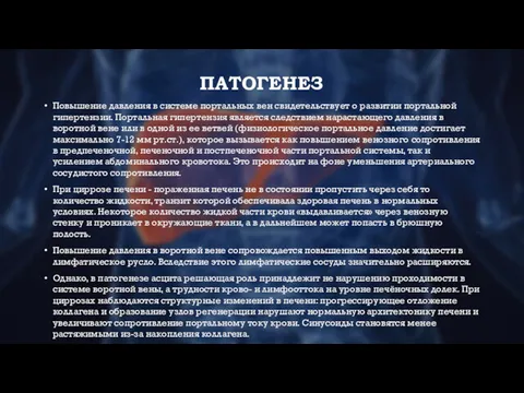 ПАТОГЕНЕЗ Повышение давления в системе портальных вен свидетельствует о развитии