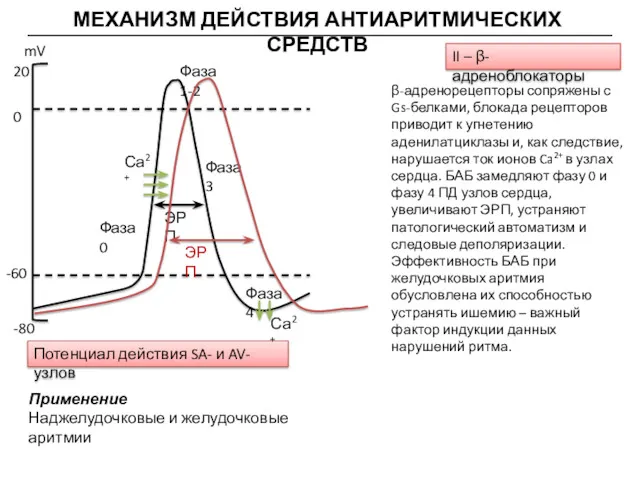 МЕХАНИЗМ ДЕЙСТВИЯ АНТИАРИТМИЧЕСКИХ СРЕДСТВ mV 20 0 -80 -60 ЭРП