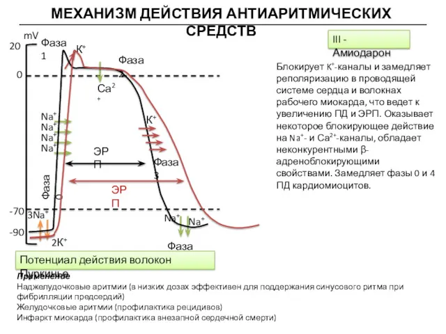 МЕХАНИЗМ ДЕЙСТВИЯ АНТИАРИТМИЧЕСКИХ СРЕДСТВ mV 20 0 -70 -90 ЭРП