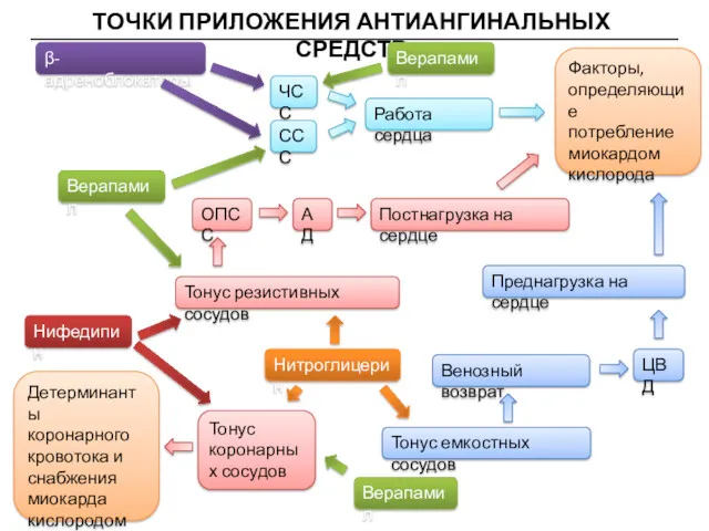 ТОЧКИ ПРИЛОЖЕНИЯ АНТИАНГИНАЛЬНЫХ СРЕДСТВ Факторы, определяющие потребление миокардом кислорода Детерминанты