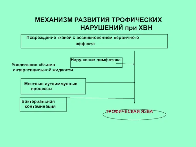 МЕХАНИЗМ РАЗВИТИЯ ТРОФИЧЕСКИХ НАРУШЕНИЙ при ХВН Повреждение тканей с возникновением