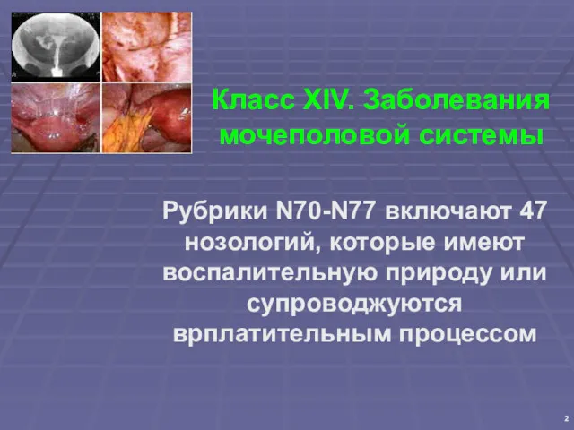 Класс XIV. Заболевания мочеполовой системы Рубрики N70-N77 включают 47 нозологий,