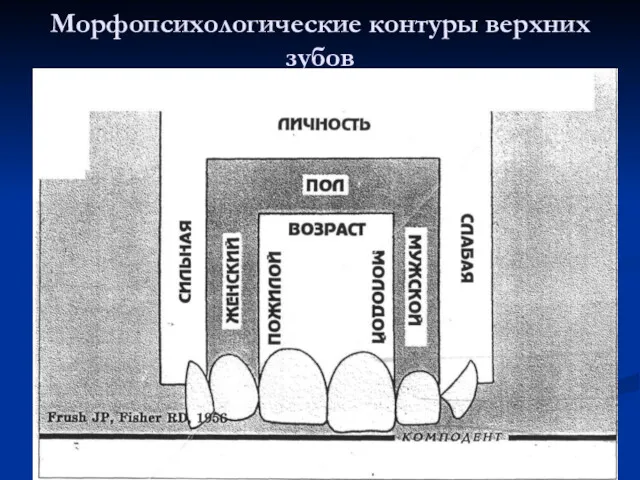 Морфопсихологические контуры верхних зубов