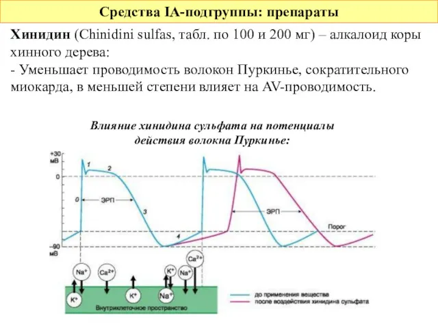 Средства IA-подгруппы: препараты Хинидин (Chinidini sulfas, табл. по 100 и