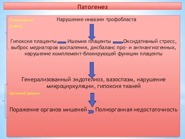 Патогенез Плацентарный Нарушение инвазии трофобласта уровень Гипоксия плаценты Ишемия плаценты