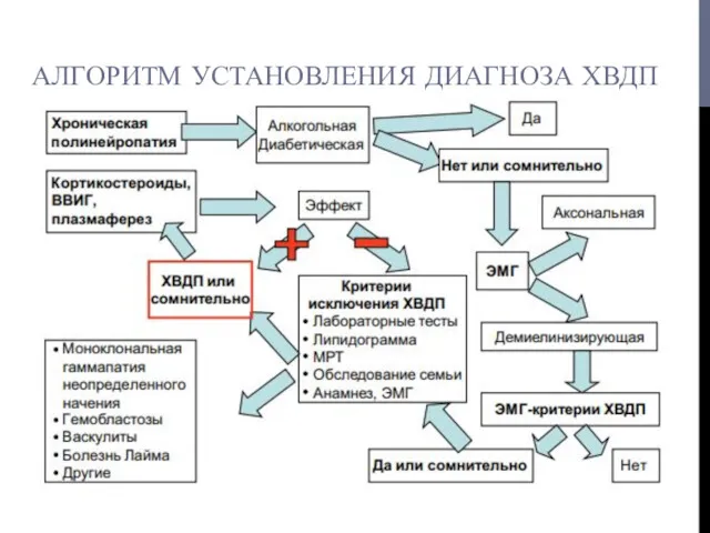 АЛГОРИТМ УСТАНОВЛЕНИЯ ДИАГНОЗА ХВДП