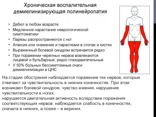 На стадии обострения наблюдается поражение тех нервов, которые отвечают за