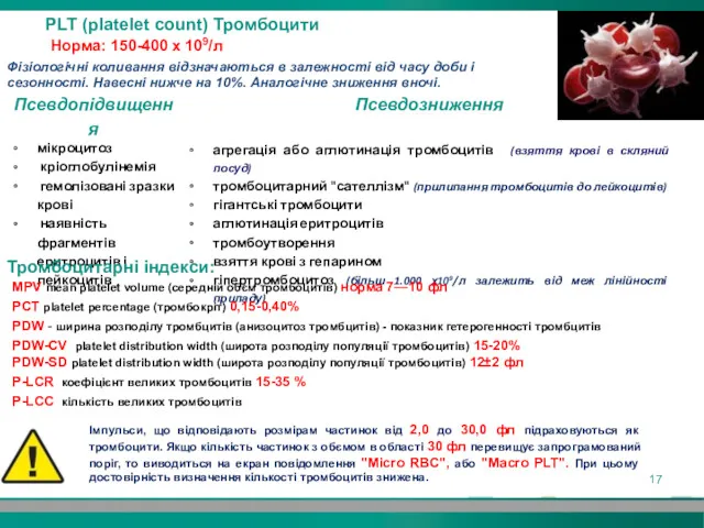 PLT (platelet count) Тромбоцити Норма: 150-400 х 109/л Фізіологічні коливання відзначаються в залежності