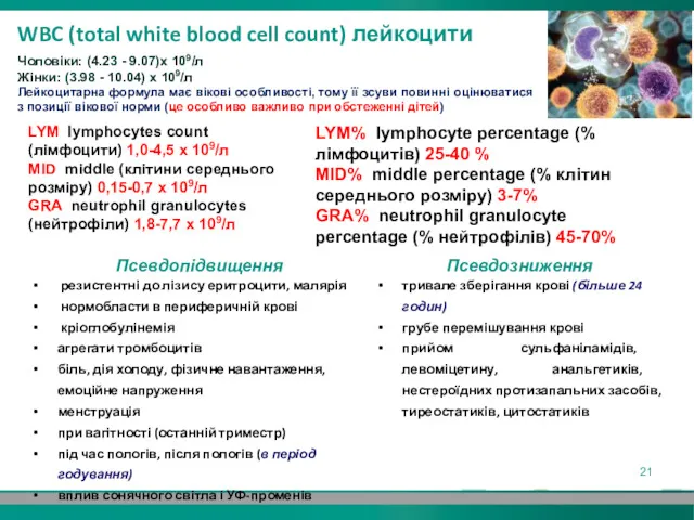WBC (total white blood cell count) лейкоцити Чоловіки: (4.23 - 9.07)х 109/л Жінки:
