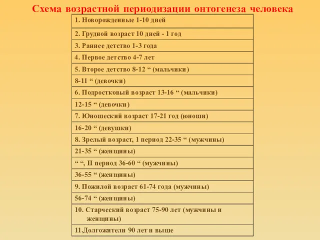 Схема возрастной периодизации онтогенеза человека