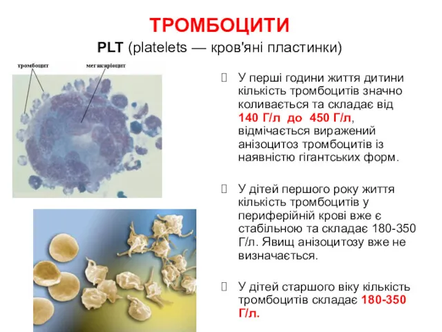 ТРОМБОЦИТИ PLT (platelets — кров'яні пластинки) У перші години життя