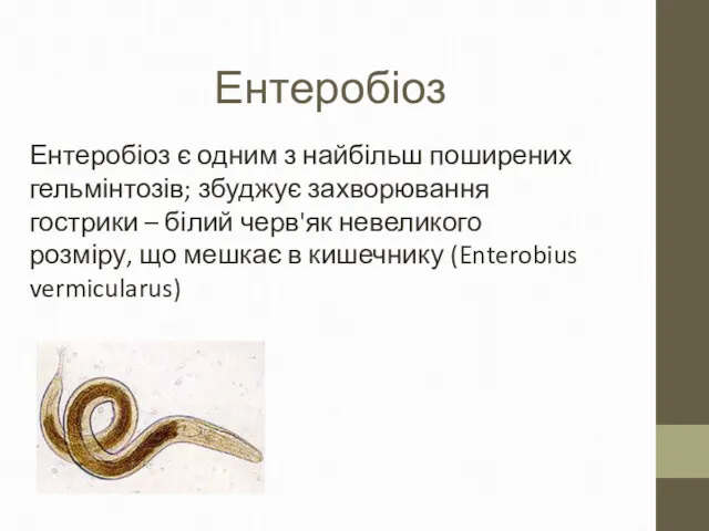 Ентеробіоз Ентеробіоз є одним з найбільш поширених гельмінтозів; збуджує захворювання