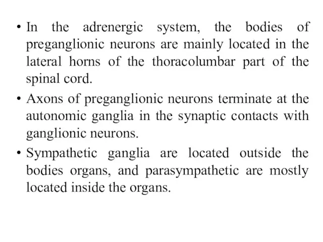 In the adrenergic system, the bodies of preganglionic neurons are