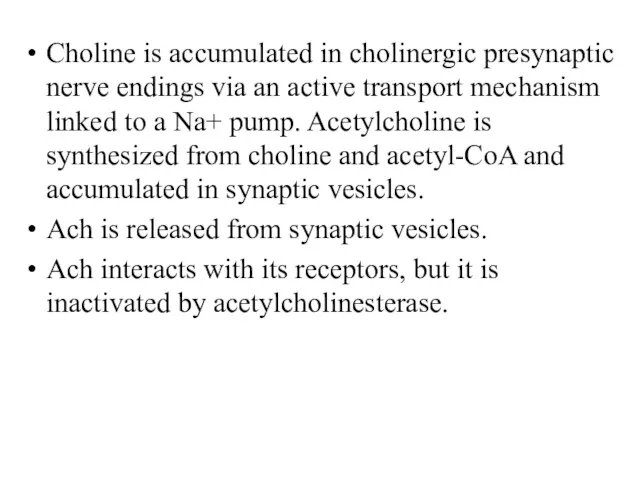 Choline is accumulated in cholinergic presynaptic nerve endings via an