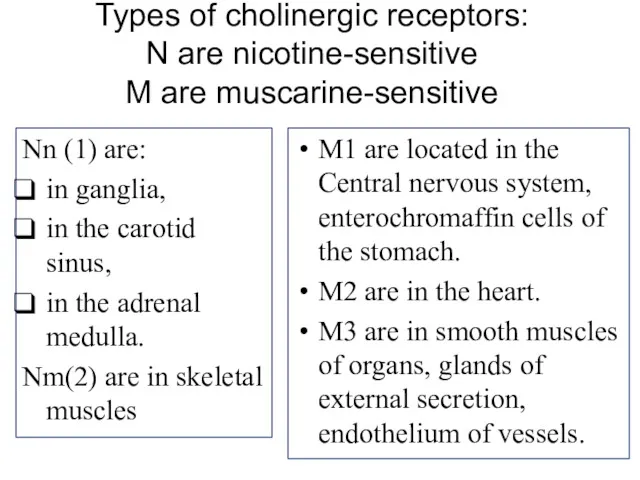 Types of cholinergic receptors: N are nicotine-sensitive M are muscarine-sensitive