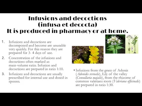 Infusions and decoctions (infusa et decocta) It is produced in pharmacy or at