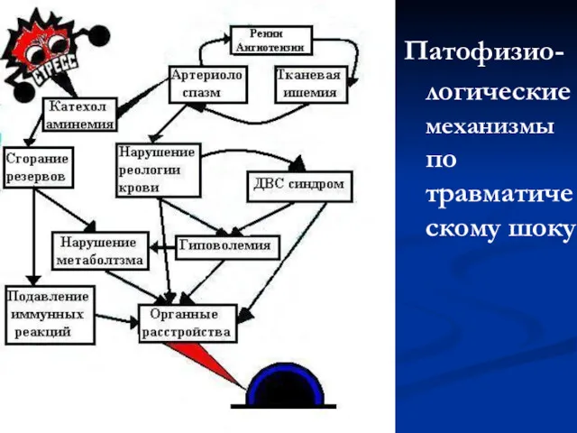 Патофизио-логические механизмы по травматическому шоку