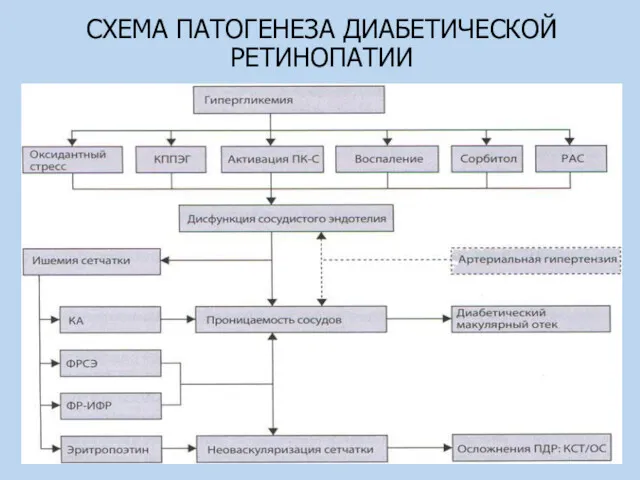 СХЕМА ПАТОГЕНЕЗА ДИАБЕТИЧЕСКОЙ РЕТИНОПАТИИ