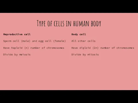Type of cells in human body Reproductive cell Sperm cell