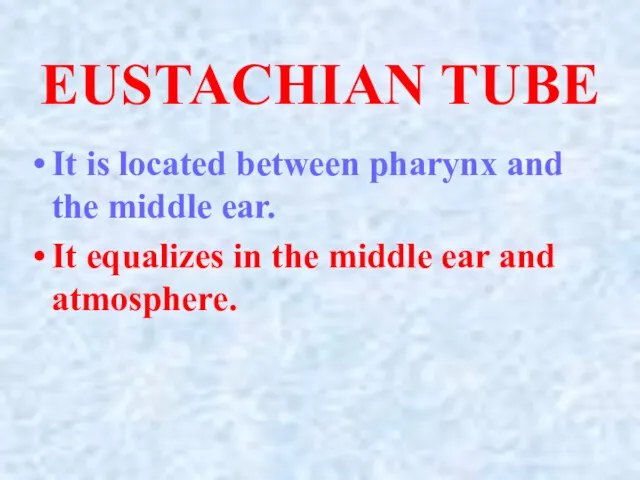 EUSTACHIAN TUBE It is located between pharynx and the middle ear. It equalizes