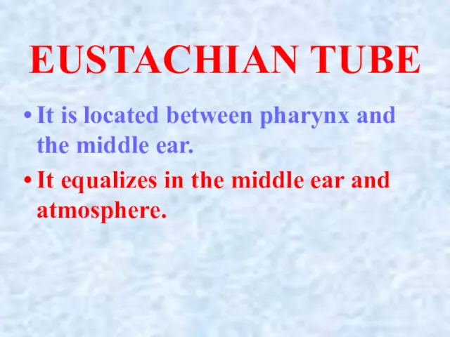 EUSTACHIAN TUBE It is located between pharynx and the middle