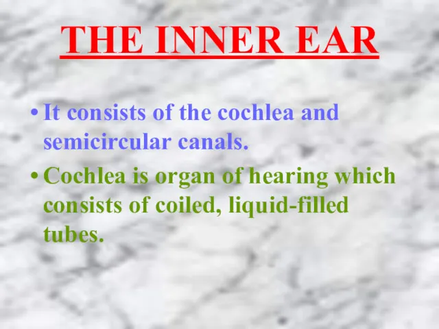 THE INNER EAR It consists of the cochlea and semicircular canals. Cochlea is