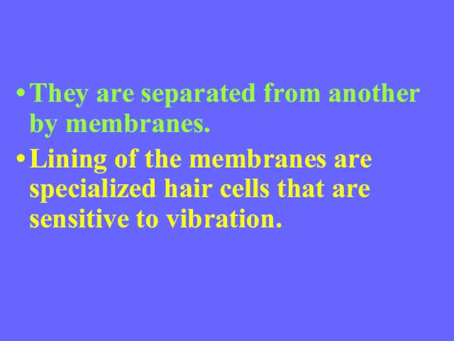 They are separated from another by membranes. Lining of the membranes are specialized