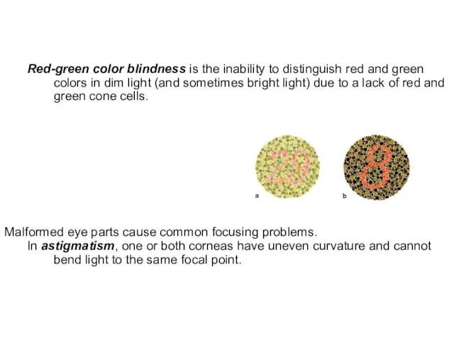 Red-green color blindness is the inability to distinguish red and green colors in