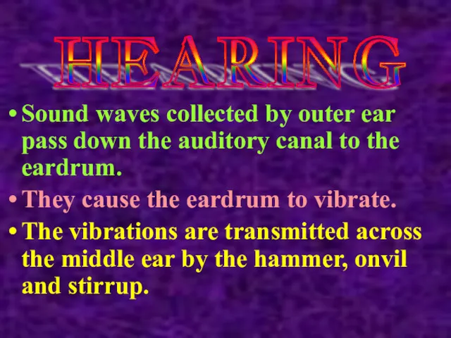 Sound waves collected by outer ear pass down the auditory canal to the