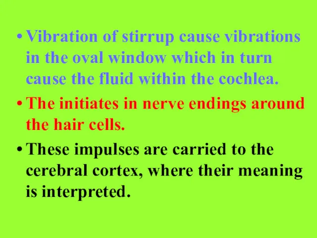 Vibration of stirrup cause vibrations in the oval window which