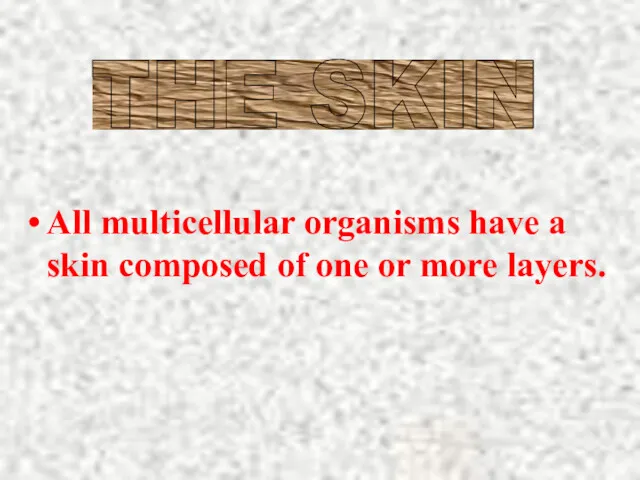 All multicellular organisms have a skin composed of one or more layers. THE SKIN
