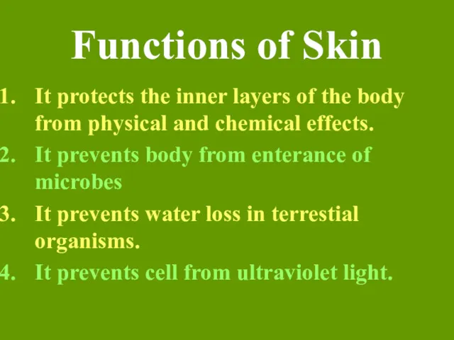 Functions of Skin It protects the inner layers of the body from physical