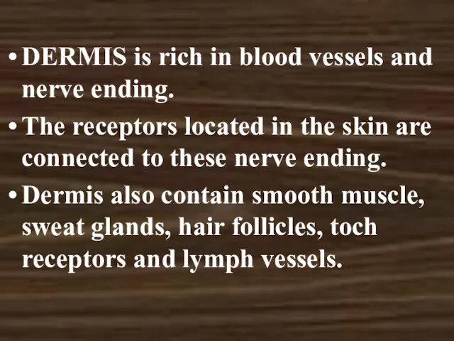 DERMIS is rich in blood vessels and nerve ending. The receptors located in