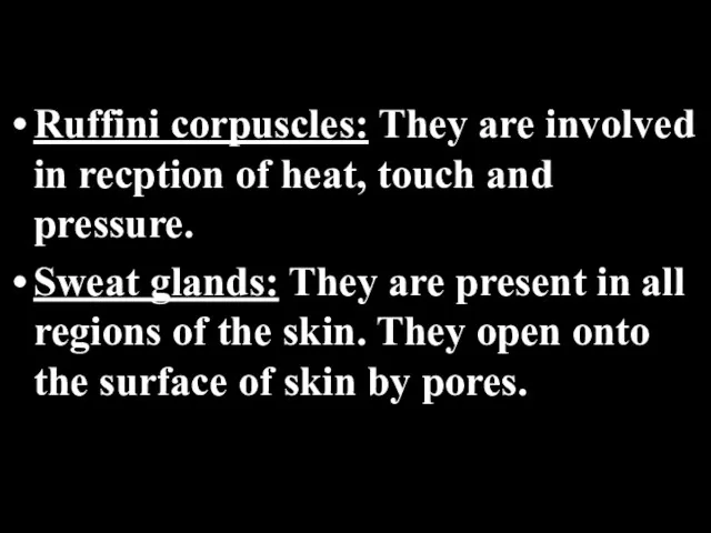 Ruffini corpuscles: They are involved in recption of heat, touch and pressure. Sweat