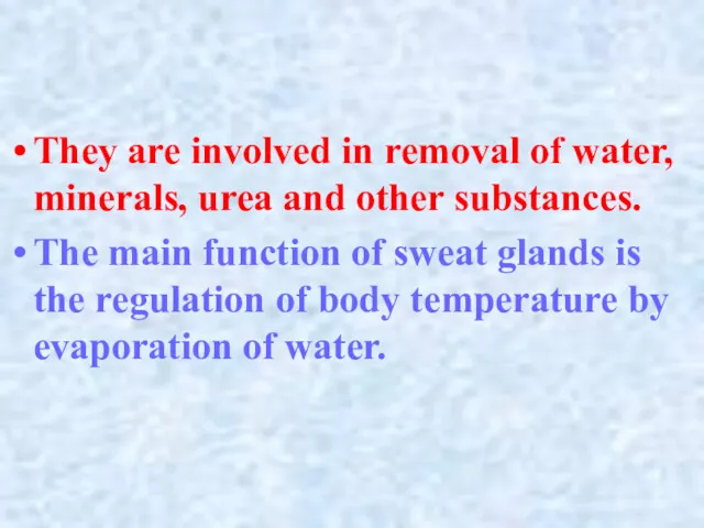 They are involved in removal of water, minerals, urea and