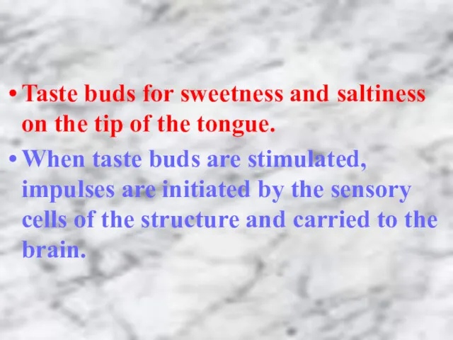 Taste buds for sweetness and saltiness on the tip of the tongue. When