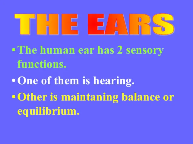 The human ear has 2 sensory functions. One of them is hearing. Other