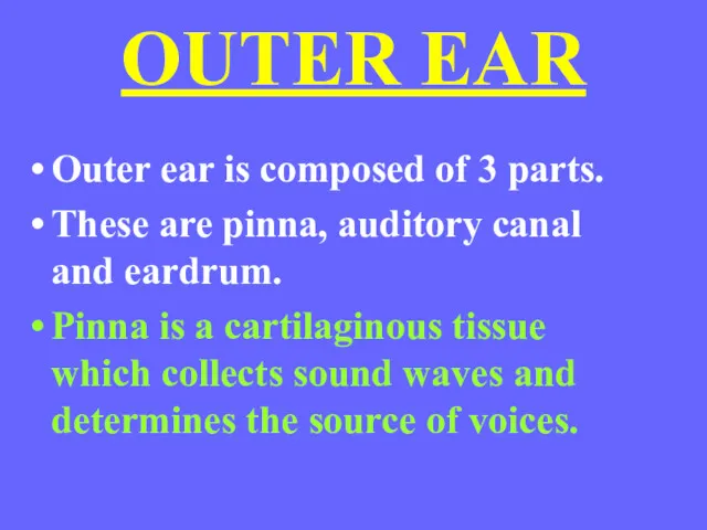 OUTER EAR Outer ear is composed of 3 parts. These are pinna, auditory
