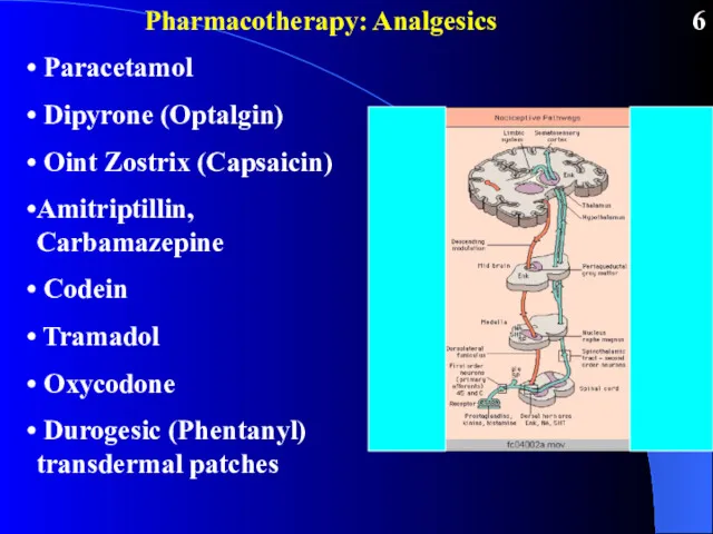 Pharmacotherapy: Analgesics Paracetamol Dipyrone (Optalgin) Oint Zostrix (Capsaicin) Amitriptillin, Carbamazepine