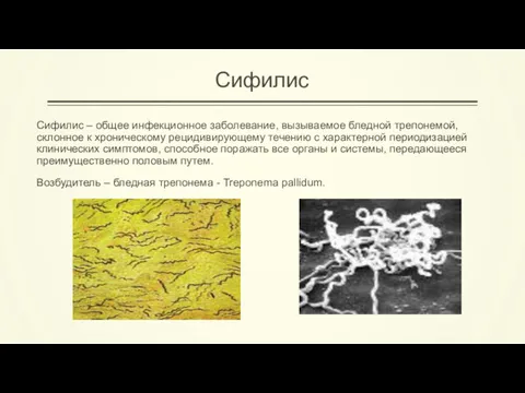 Сифилис Сифилис – общее инфекционное заболевание, вызываемое бледной трепонемой, склонное