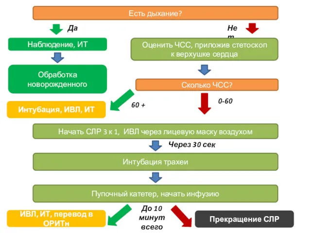 Есть дыхание? Нет Да Наблюдение, ИТ Оценить ЧСС, приложив стетоскоп
