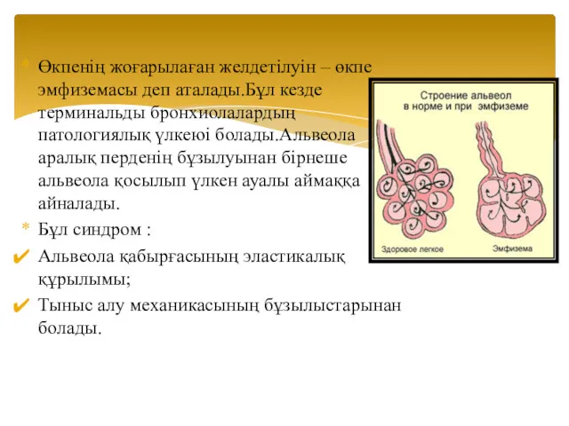 Өкпенің жоғарылаған желдетілуін – өкпе эмфиземасы деп аталады.Бұл кезде терминальды