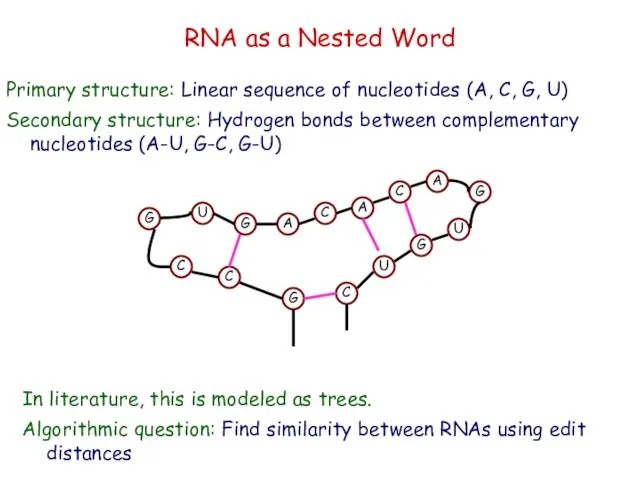RNA as a Nested Word Primary structure: Linear sequence of nucleotides (A, C,