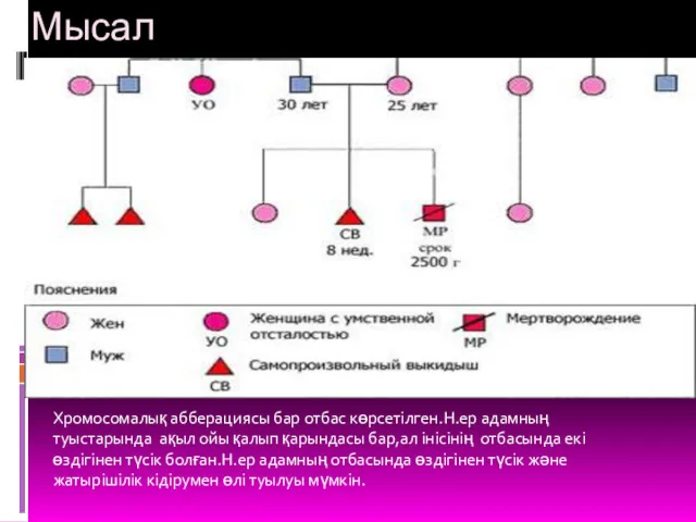 Мысал Хромосомалық абберациясы бар отбас көрсетілген.Н.ер адамның туыстарында ақыл ойы