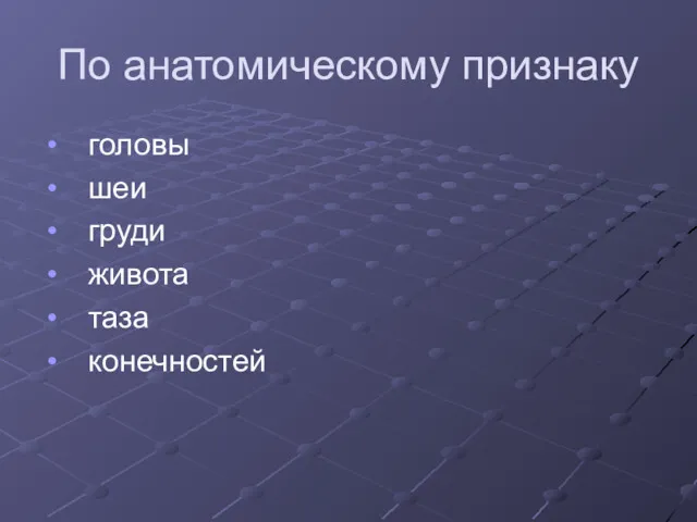 По анатомическому признаку головы шеи груди живота таза конечностей