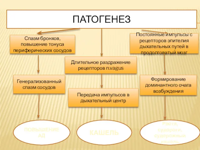 ПАТОГЕНЕЗ Спазм бронхов, повышение тонуса периферических сосудов Постоянные импульсы с