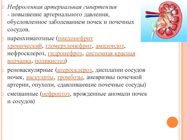 Нефрогенная артериальная гипертензия - повышение артериального давления, обусловленное заболеванием почек